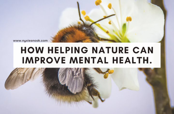 Helping the bees helped my mental health.